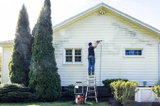 Best Brick and Stone Cleaning in New Hope, MN
